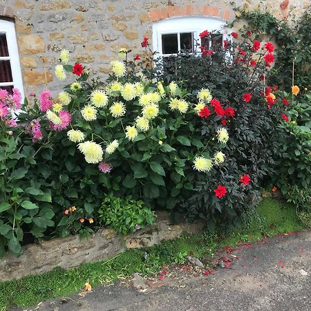 The Cottage Abbotsbury Exteriör bild