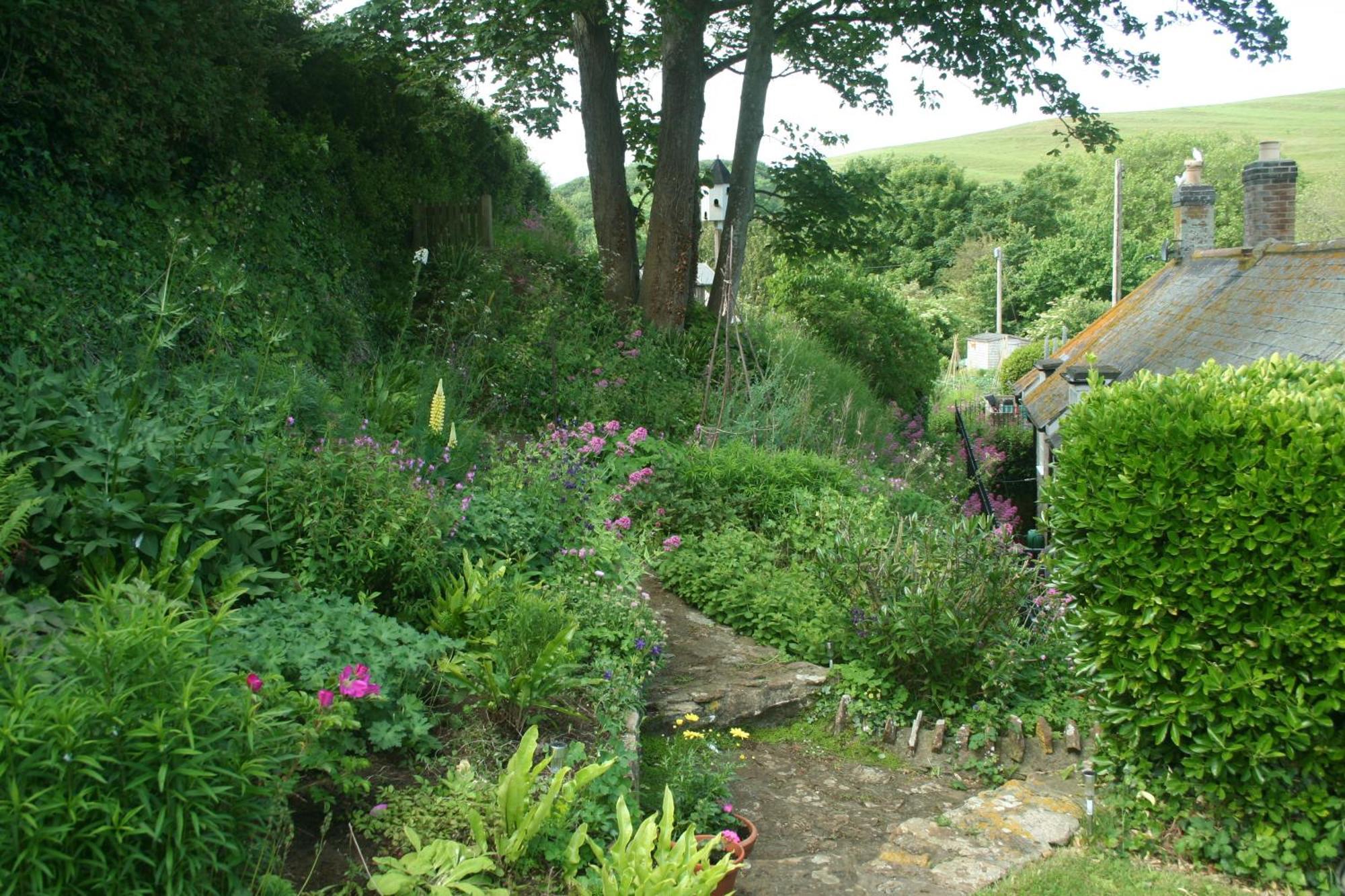 The Cottage Abbotsbury Exteriör bild