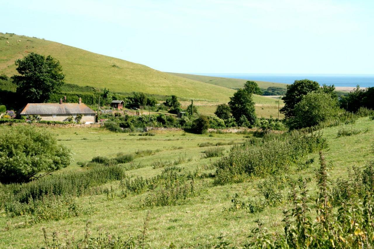 The Cottage Abbotsbury Exteriör bild