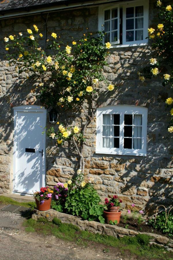 The Cottage Abbotsbury Exteriör bild