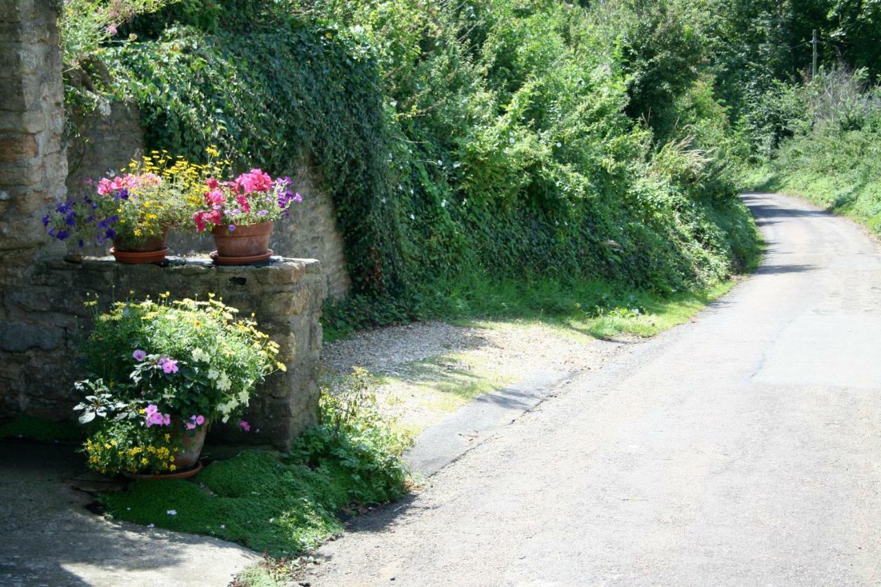 The Cottage Abbotsbury Exteriör bild