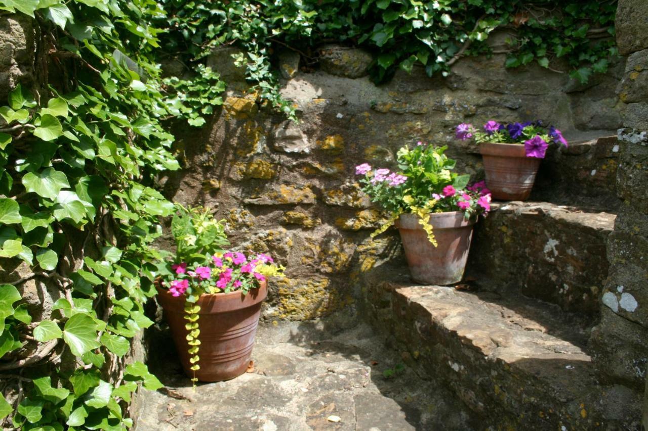 The Cottage Abbotsbury Exteriör bild